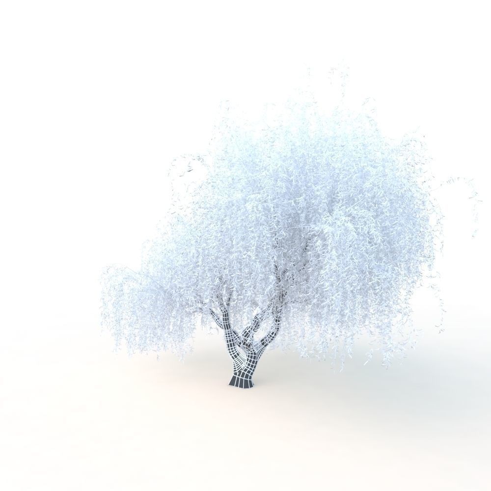 Willow Fall Tree 3D Model – Realistic PBR Asset, FBX, OBJ - View 25
