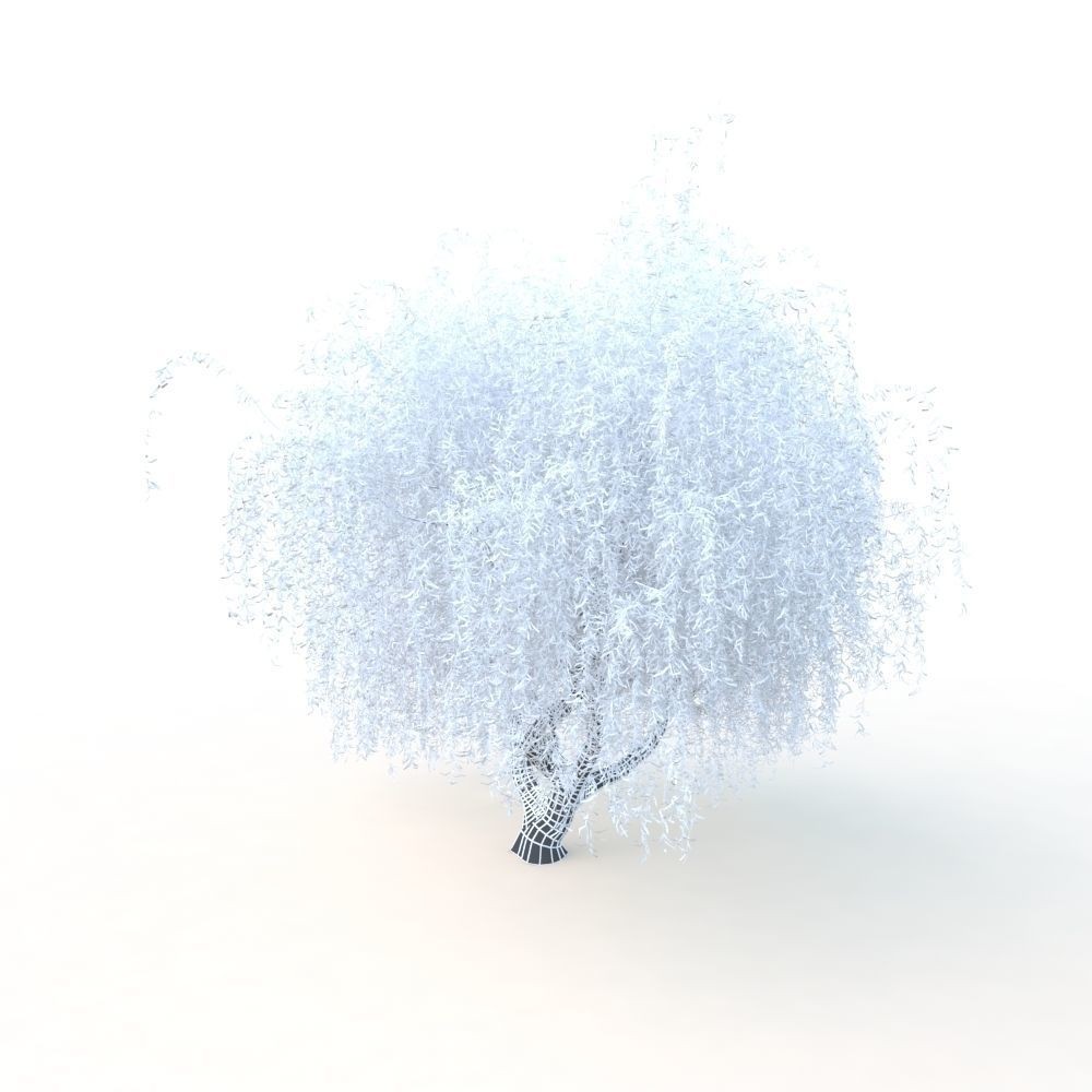 Willow Fall Tree 3D Model – Realistic PBR Asset, FBX, OBJ - View 26