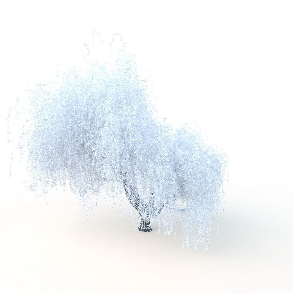 Willow Fall Tree 3D Model – Realistic PBR Asset, FBX, OBJ - View 27