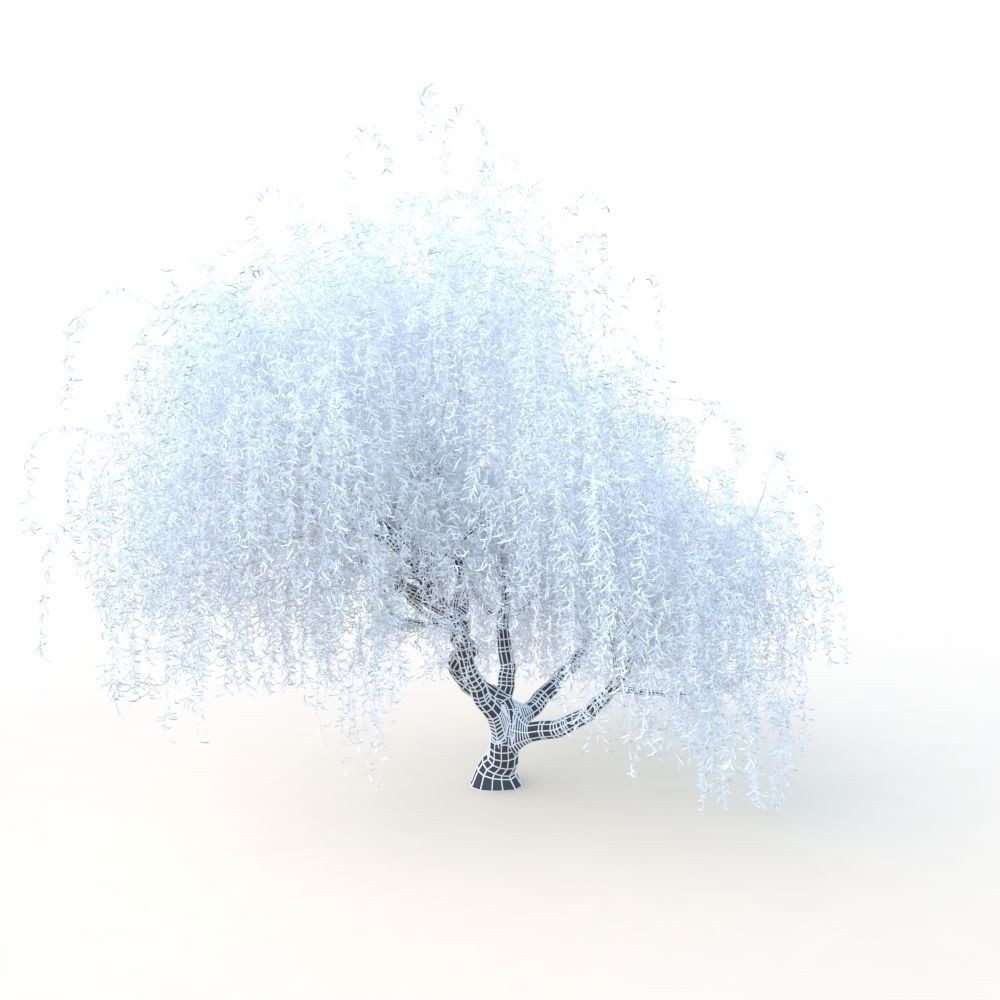 Willow Fall Tree 3D Model – Realistic PBR Asset, FBX, OBJ - View 28