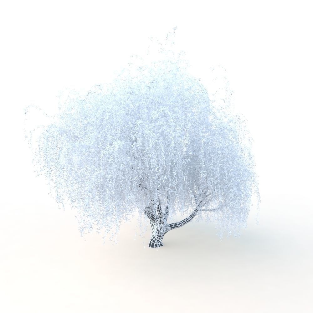 Willow Fall Tree 3D Model – Realistic PBR Asset, FBX, OBJ - View 29