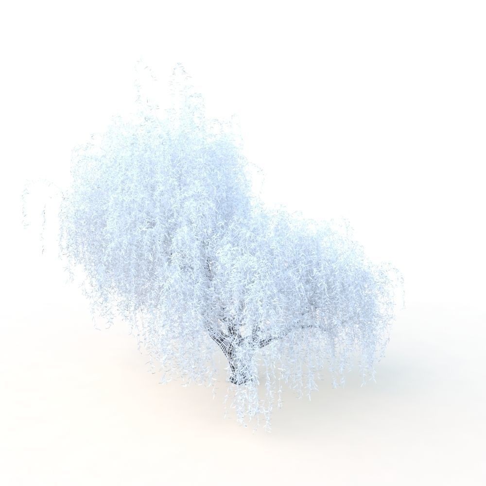 Willow Fall Tree 3D Model – Realistic PBR Asset, FBX, OBJ - View 30
