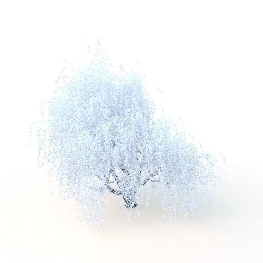 Willow Fall Tree 3D Model – Realistic PBR Asset, FBX, OBJ - View 31