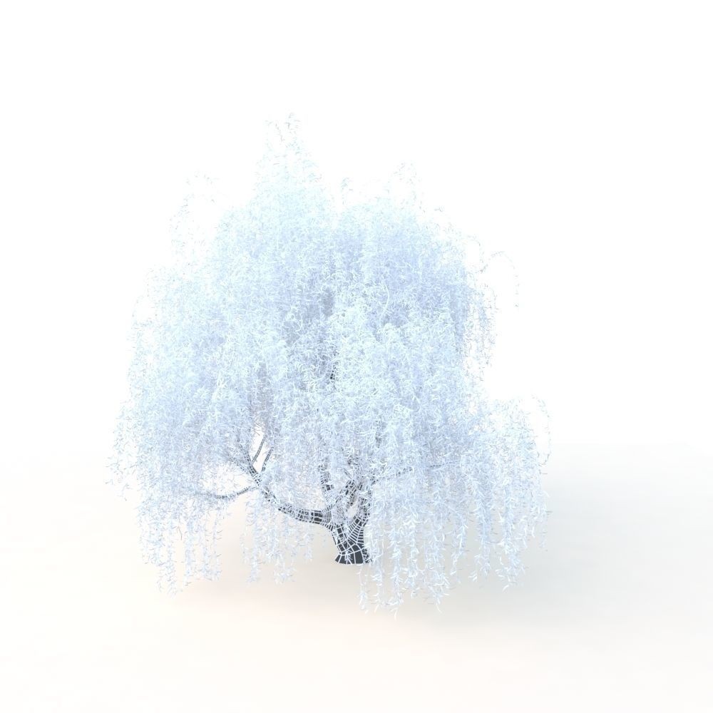 Willow Fall Tree 3D Model – Realistic PBR Asset, FBX, OBJ - View 32