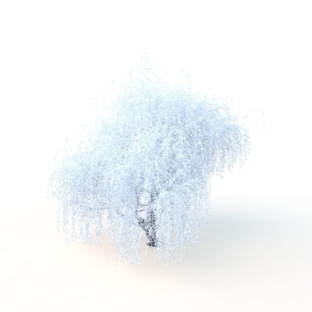 Willow Fall Tree 3D Model – Realistic PBR Asset, FBX, OBJ - View 33