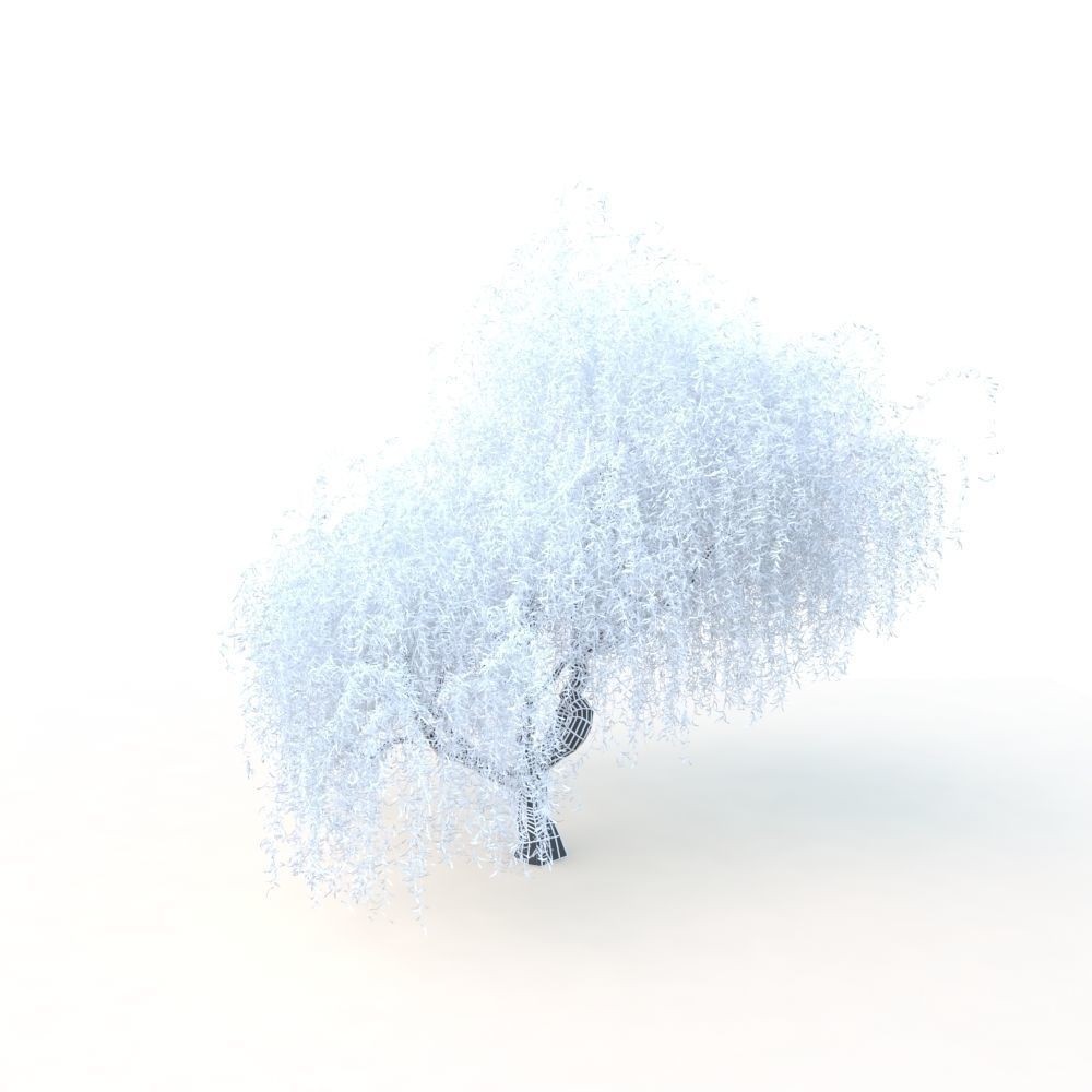 Willow Fall Tree 3D Model – Realistic PBR Asset, FBX, OBJ - View 34