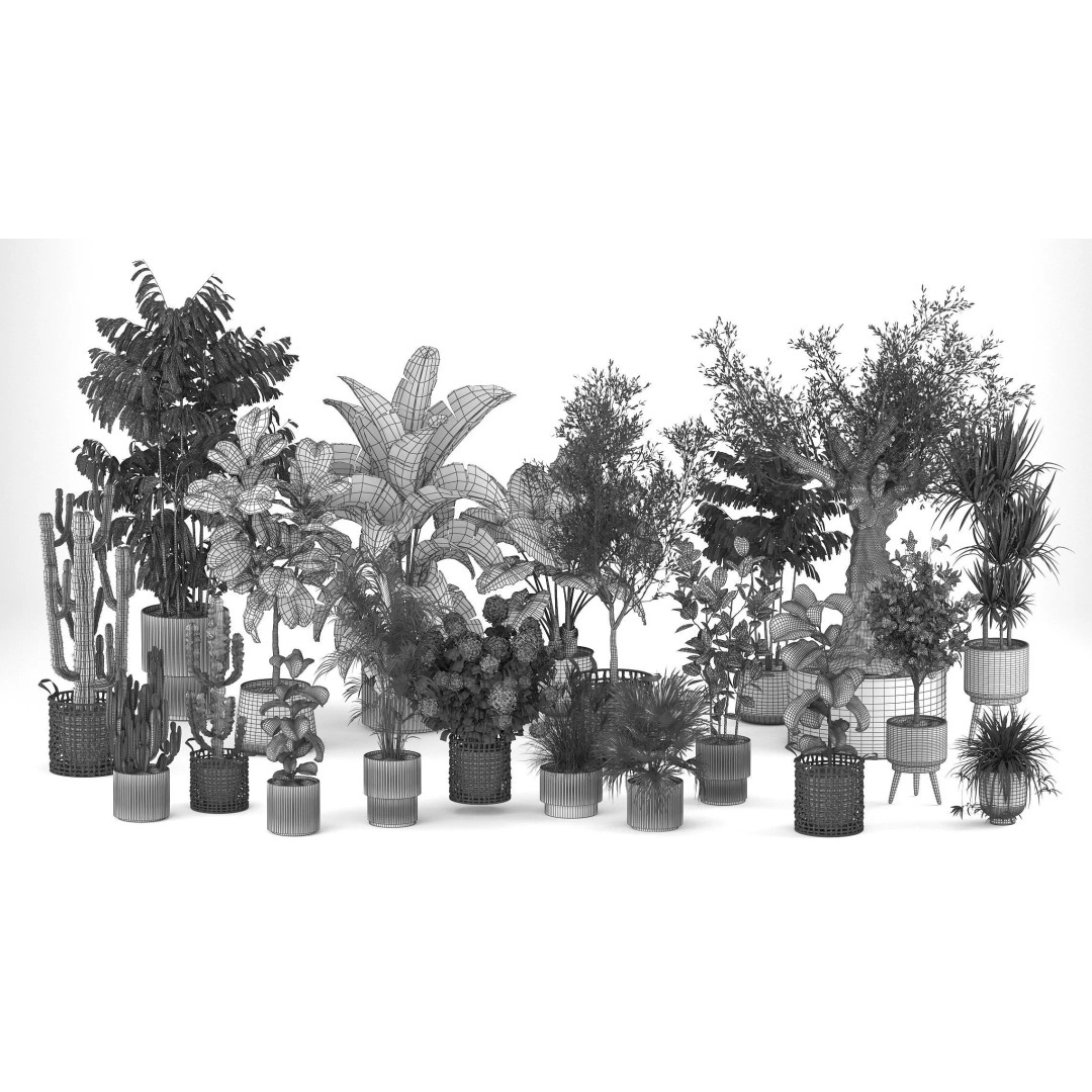 Realistic Potted Plants 3D Model – 20 Houseplants for Interior Decor, FBX