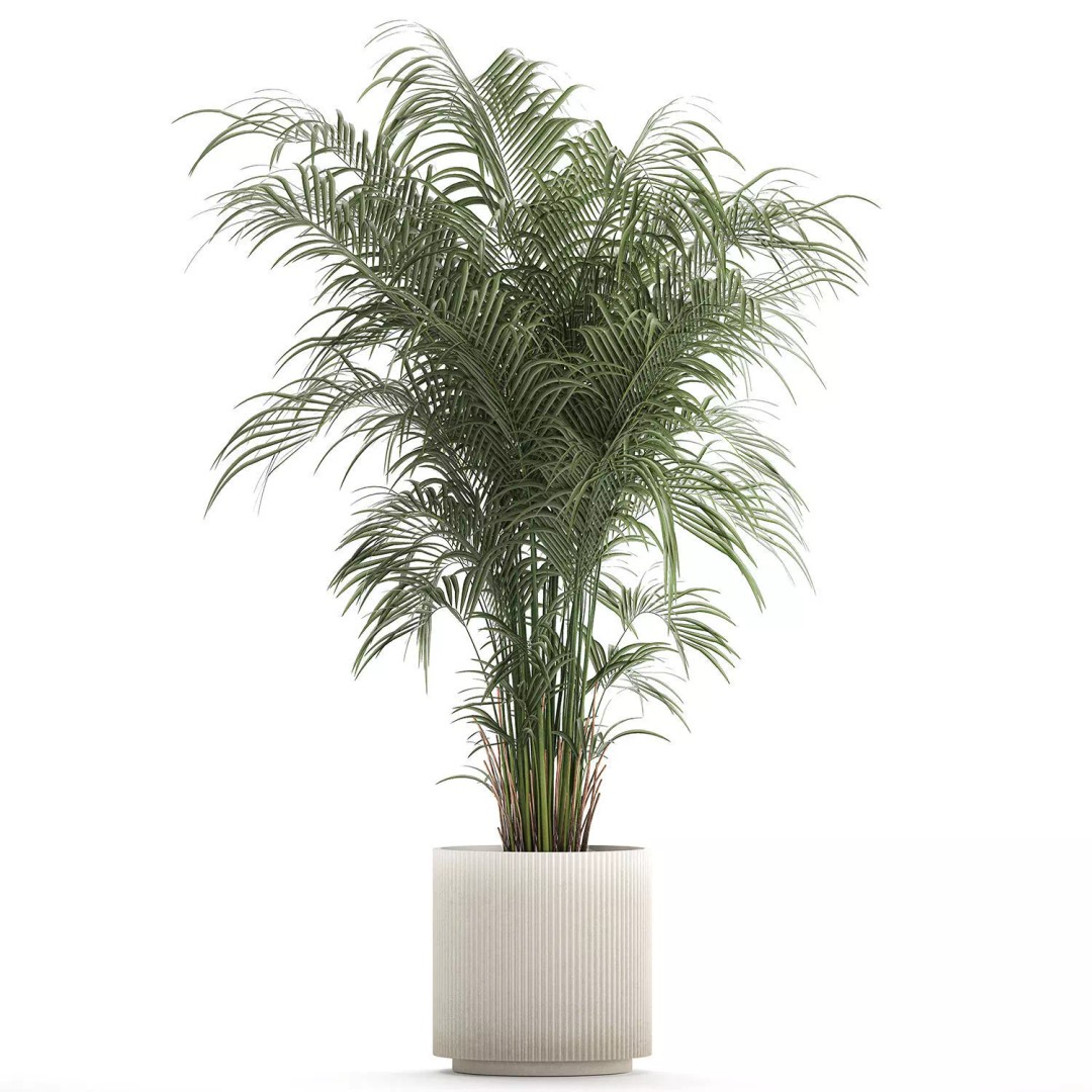 Realistic Potted Plants 3D Model – 20 Houseplants for Interior Decor, FBX - View 13