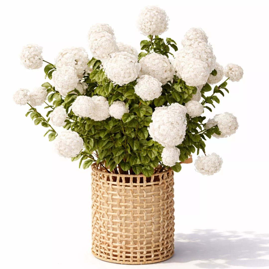 Realistic Potted Plants 3D Model – 20 Houseplants for Interior Decor, FBX - View 17