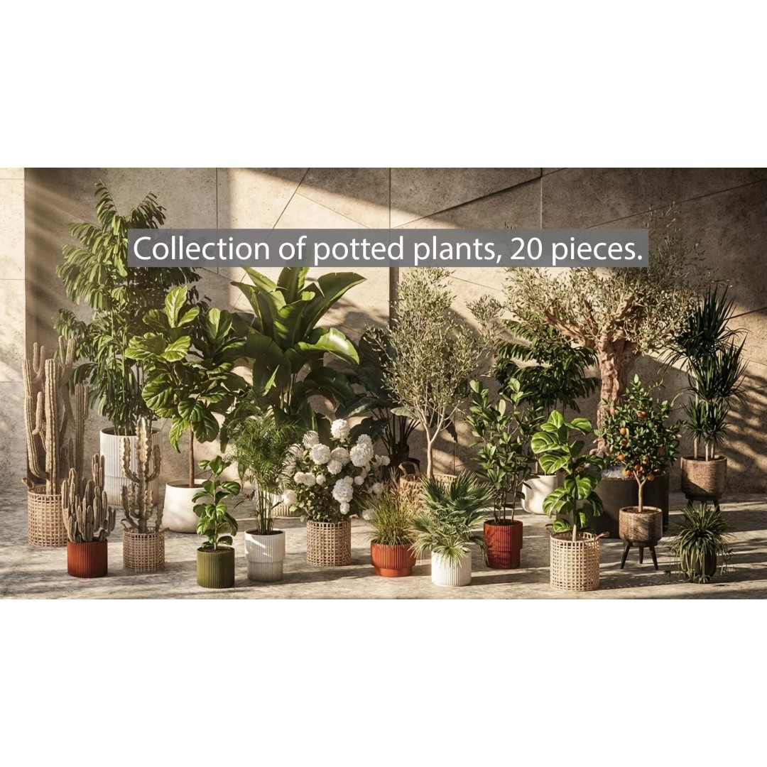 Realistic Potted Plants 3D Model – 20 Houseplants for Interior Decor, FBX - View 2