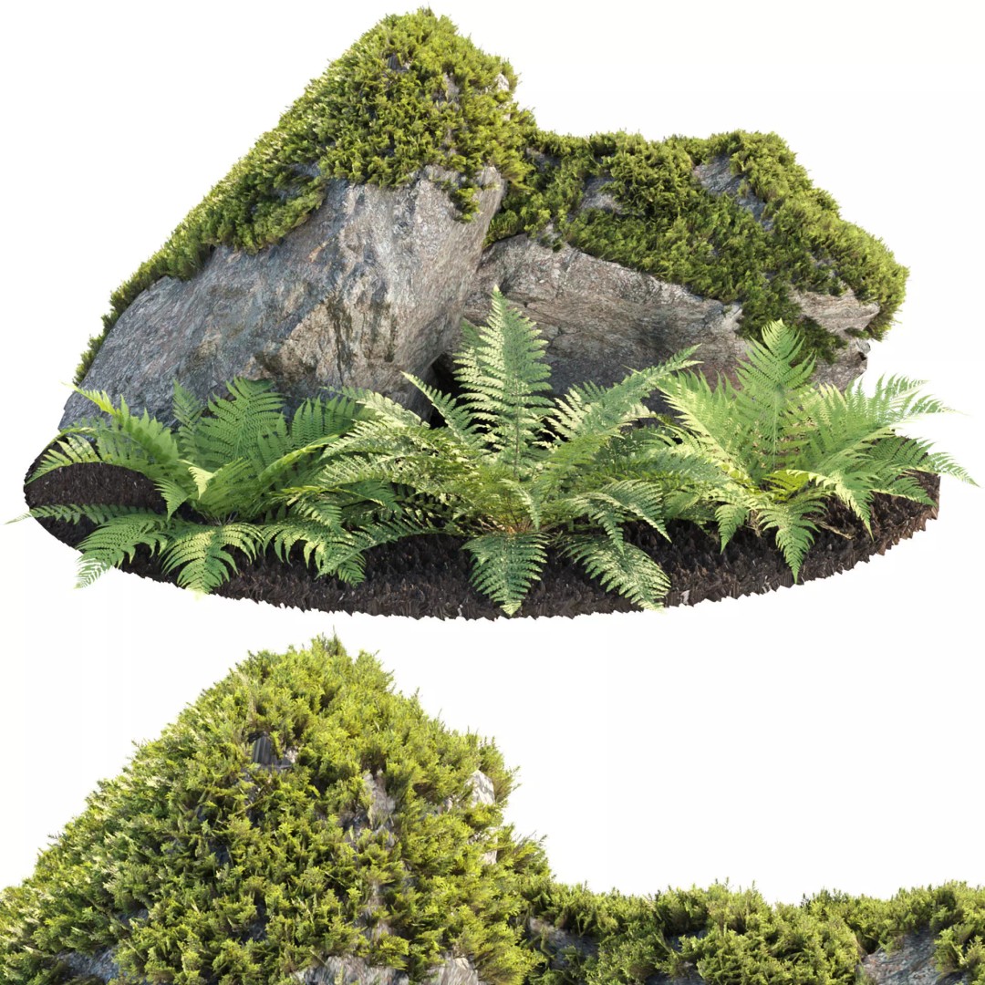 Fern Plants and Mossy Rocks 3D Model – Realistic Garden Asset, FBX - View 2