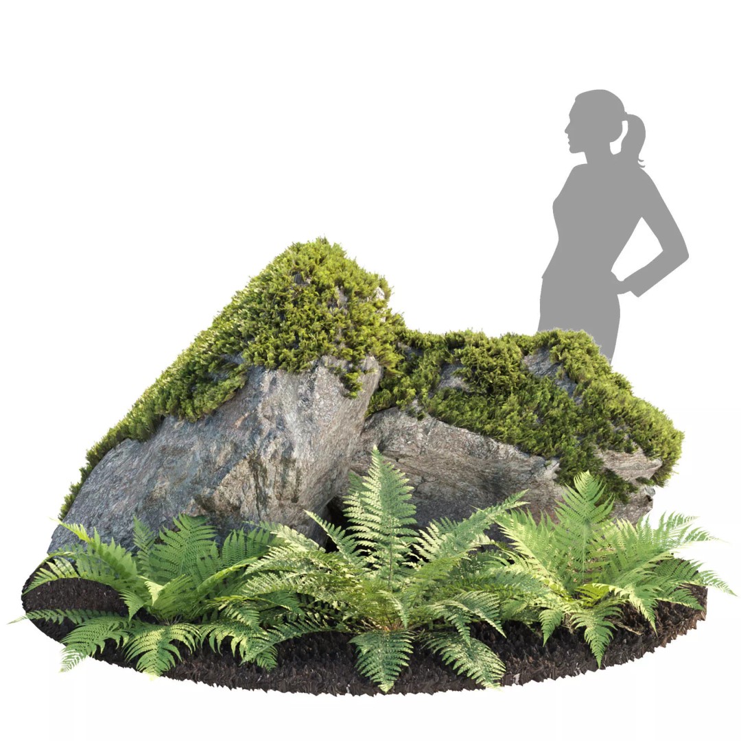 Fern Plants and Mossy Rocks 3D Model – Realistic Garden Asset, FBX - View 3