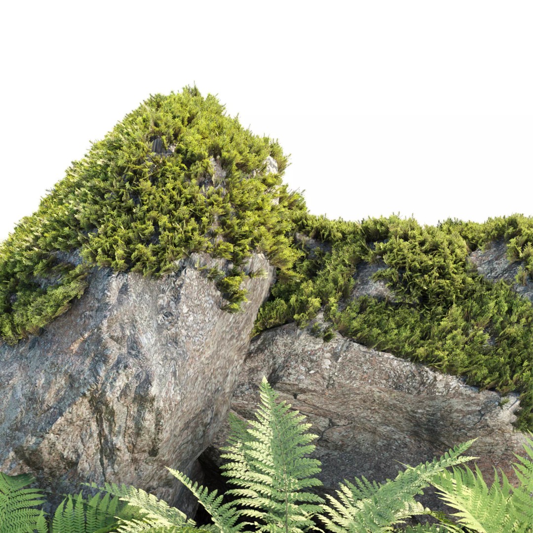Fern Plants and Mossy Rocks 3D Model – Realistic Garden Asset, FBX - View 4