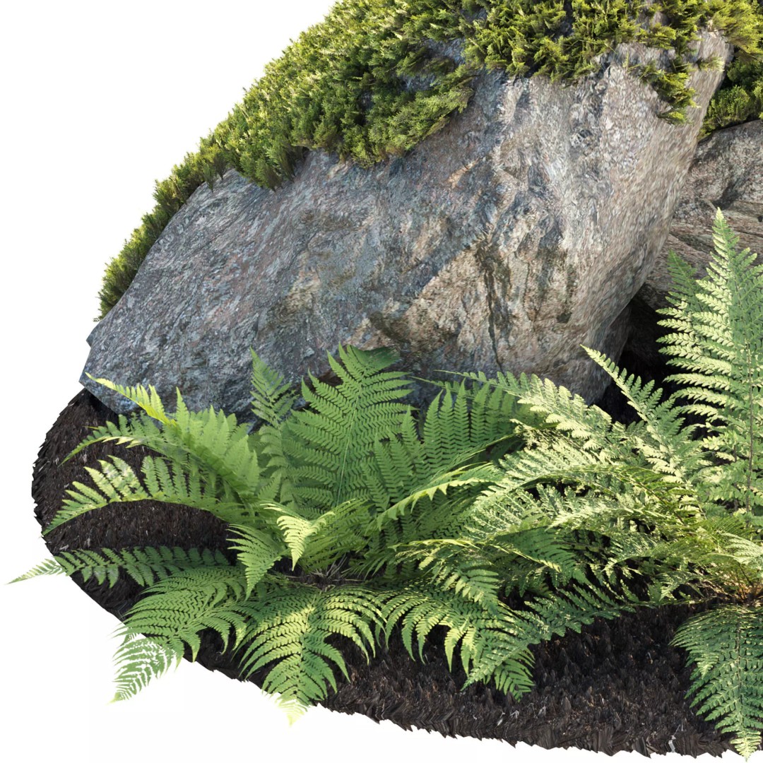 Fern Plants and Mossy Rocks 3D Model – Realistic Garden Asset, FBX - View 6