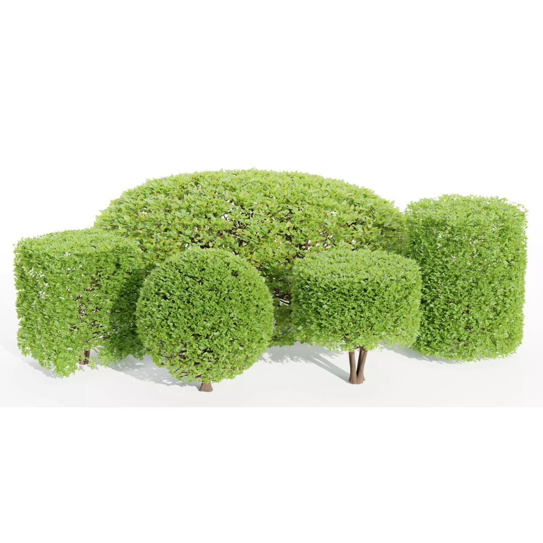 Bushes Collection 3D Model – PBR Low Poly Plants, Blender - View 2