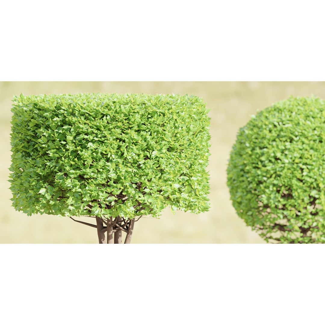 Bushes Collection 3D Model – PBR Low Poly Plants, Blender - View 3