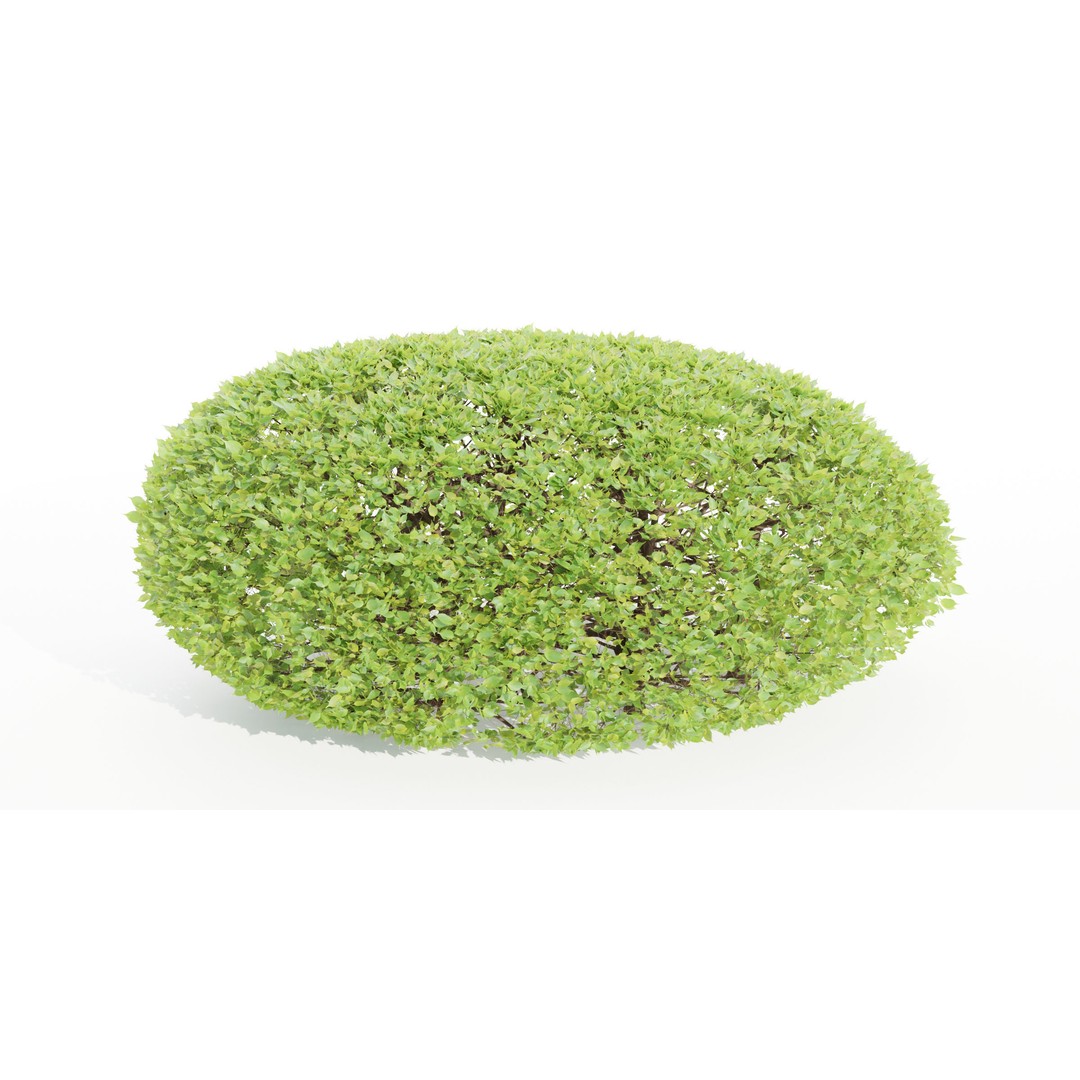 Bushes Collection 3D Model – PBR Low Poly Plants, Blender - View 4