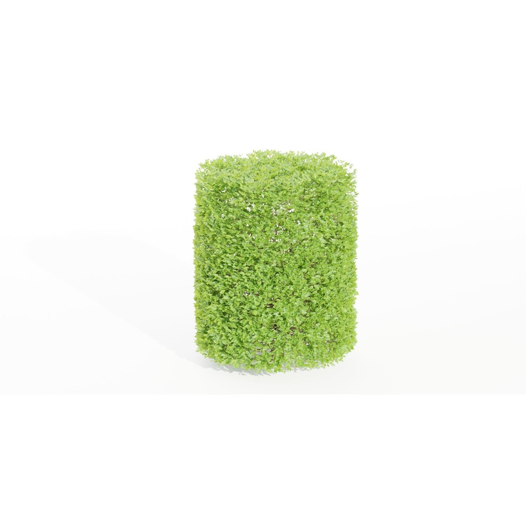 Bushes Collection 3D Model – PBR Low Poly Plants, Blender - View 5
