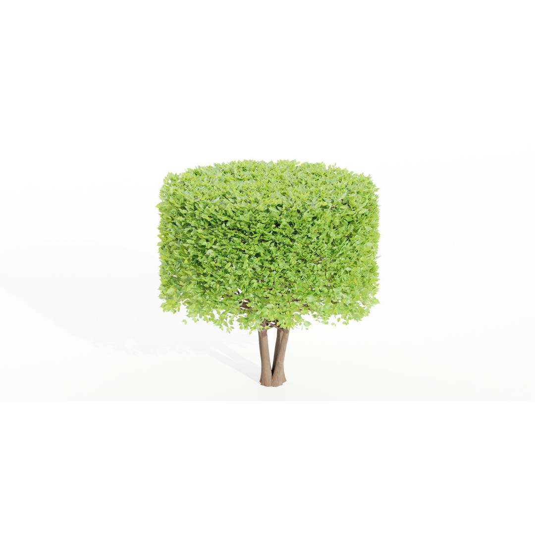 Bushes Collection 3D Model – PBR Low Poly Plants, Blender - View 6