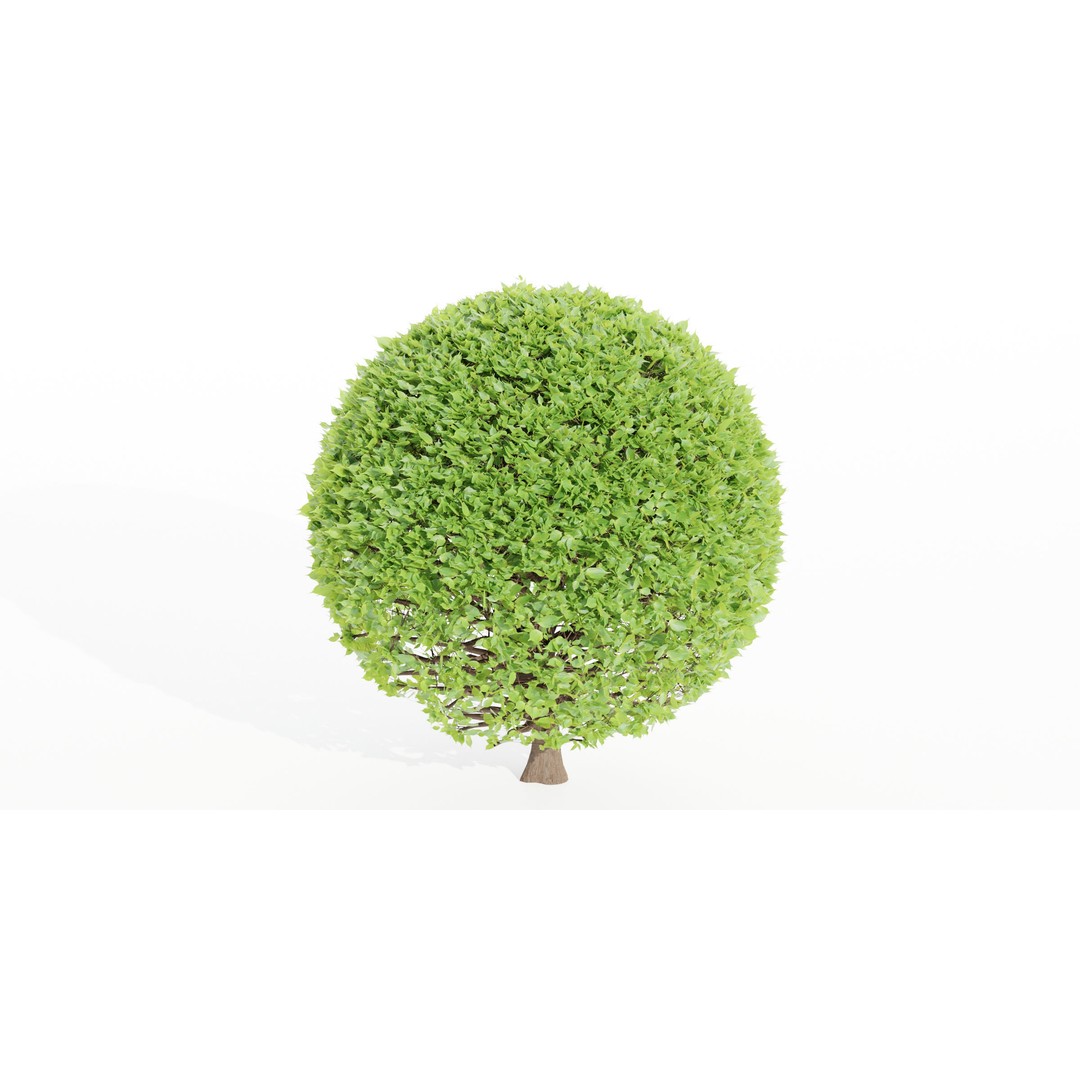 Bushes Collection 3D Model – PBR Low Poly Plants, Blender - View 7