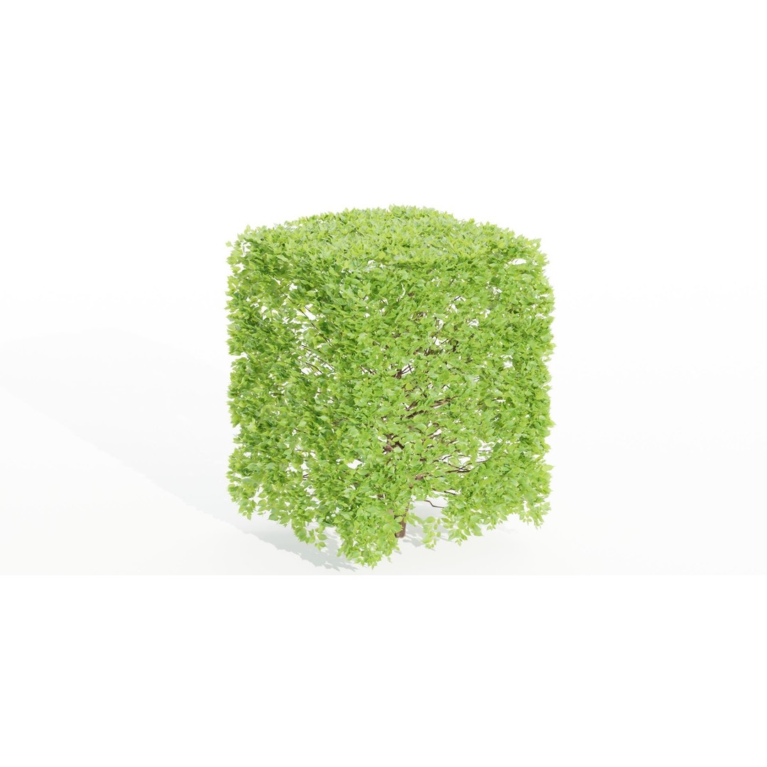Bushes Collection 3D Model – PBR Low Poly Plants, Blender - View 8