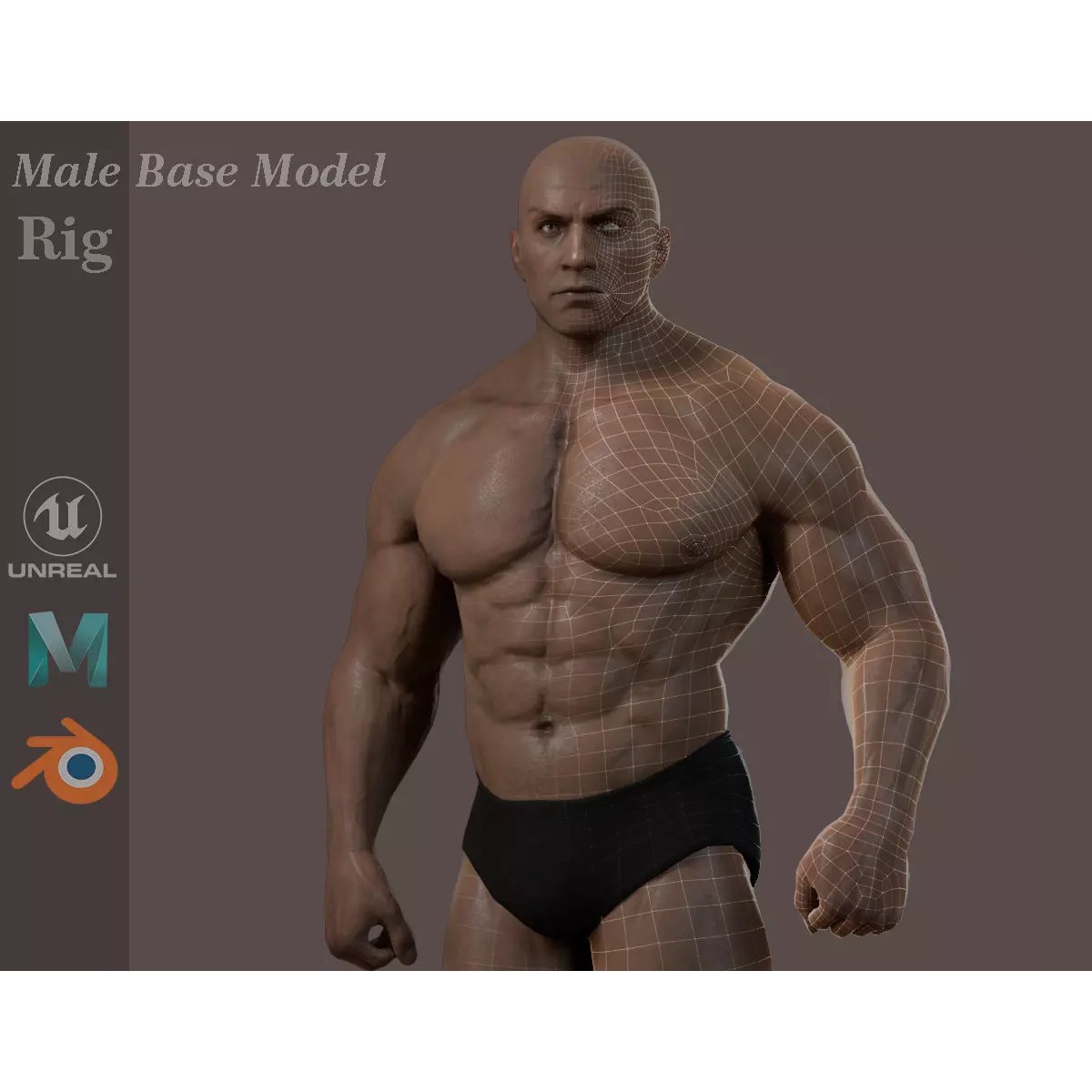 Male Base Muscle Rig - Low-Poly Game-Ready 3D Model - View 2