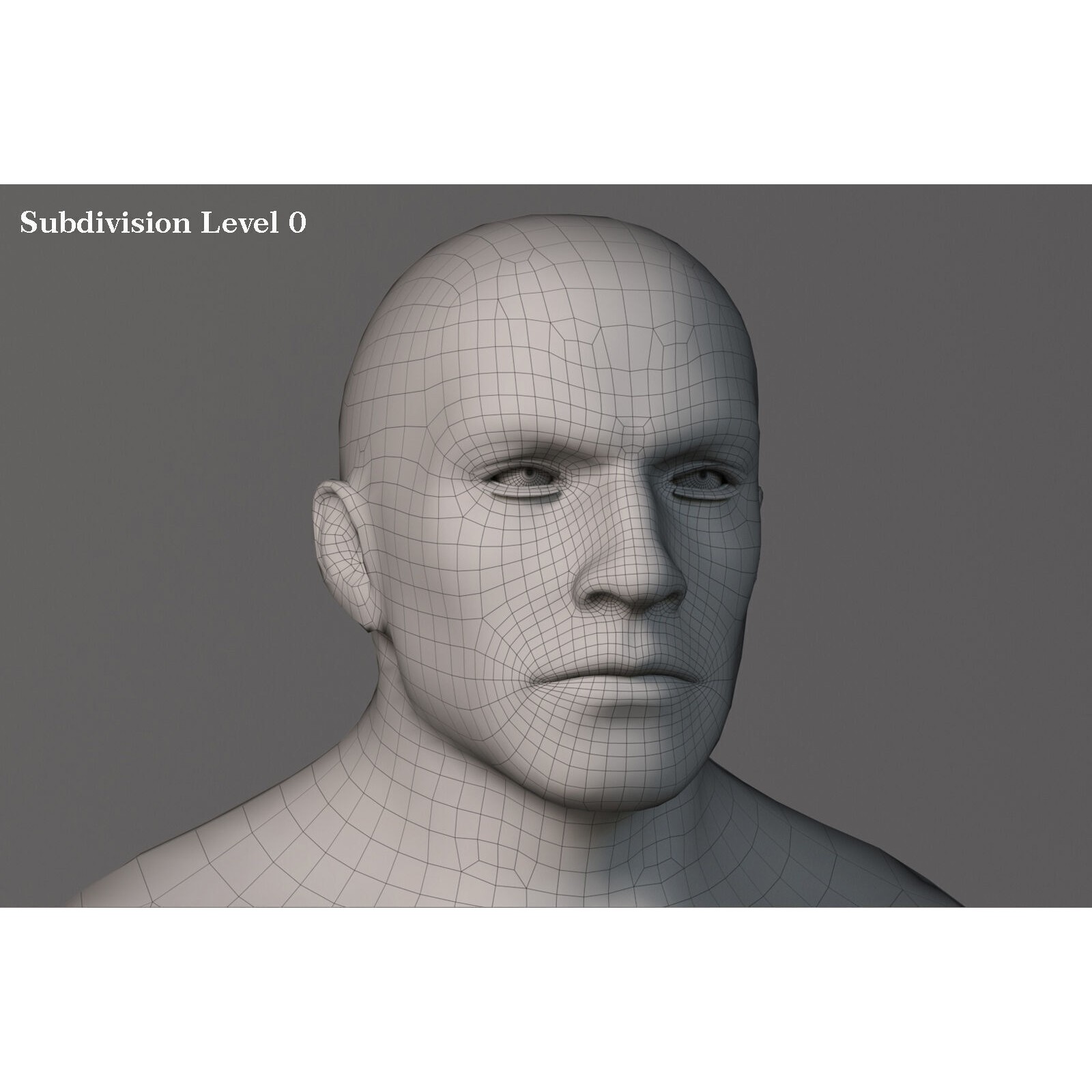 Male Base Muscle Rig - Low-Poly Game-Ready 3D Model - View 21