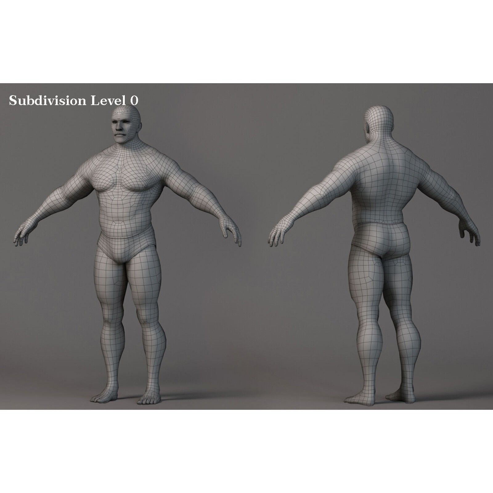 Male Base Muscle Rig - Low-Poly Game-Ready 3D Model - View 22