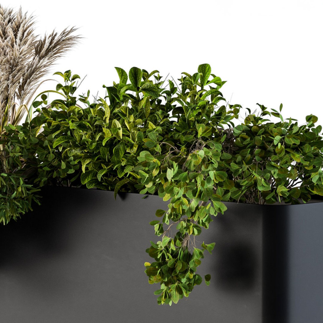 Plant Box on Wall 3D Model – Decorative Planter, FBX, OBJ Formats - View 5