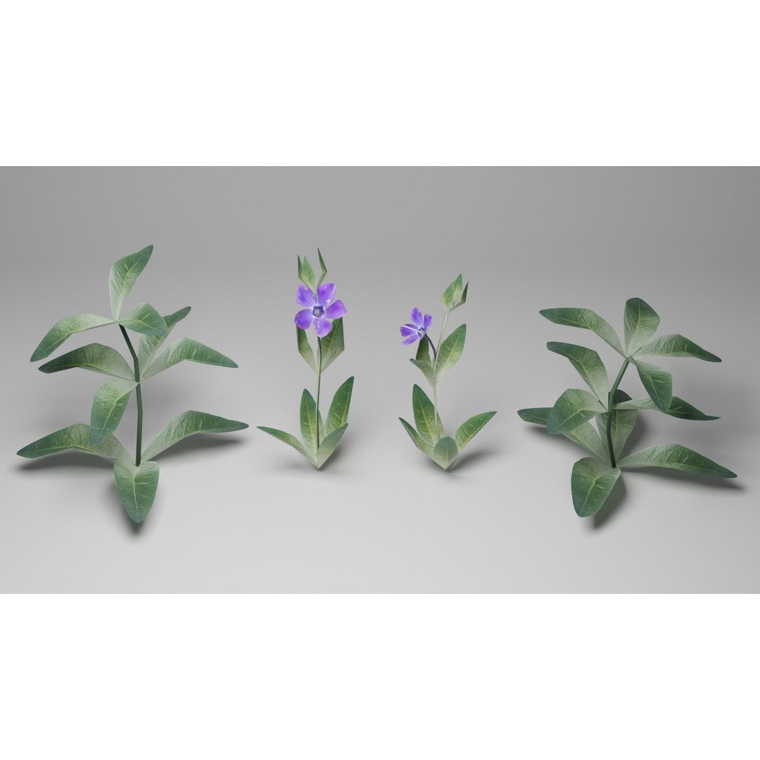 Spring Garden Flowers 3D Model – Low Poly Collection for Unity - View 11