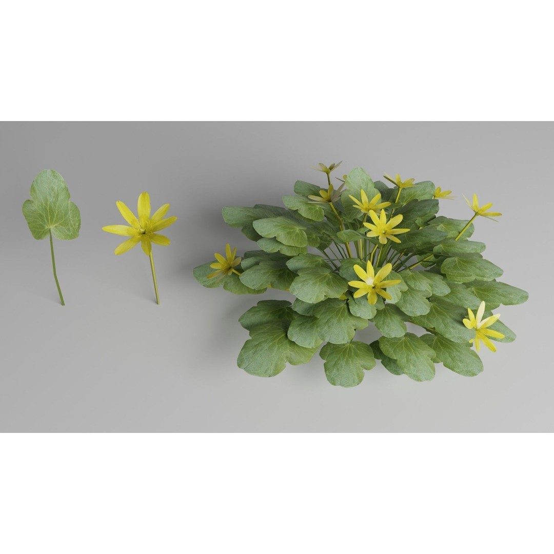 Spring Garden Flowers 3D Model – Low Poly Collection for Unity - View 12