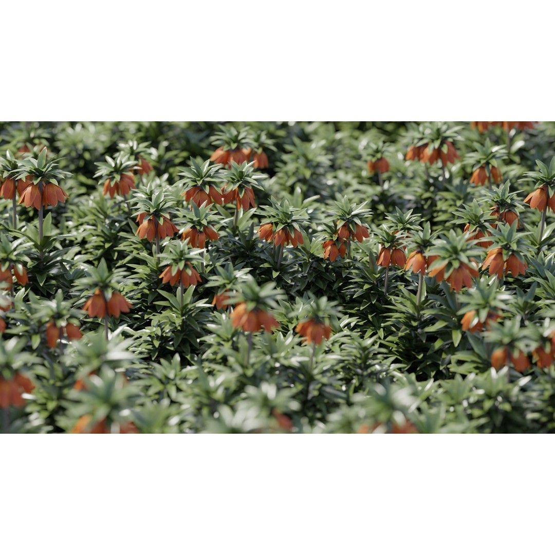 Spring Garden Flowers 3D Model – Low Poly Collection for Unity - View 13