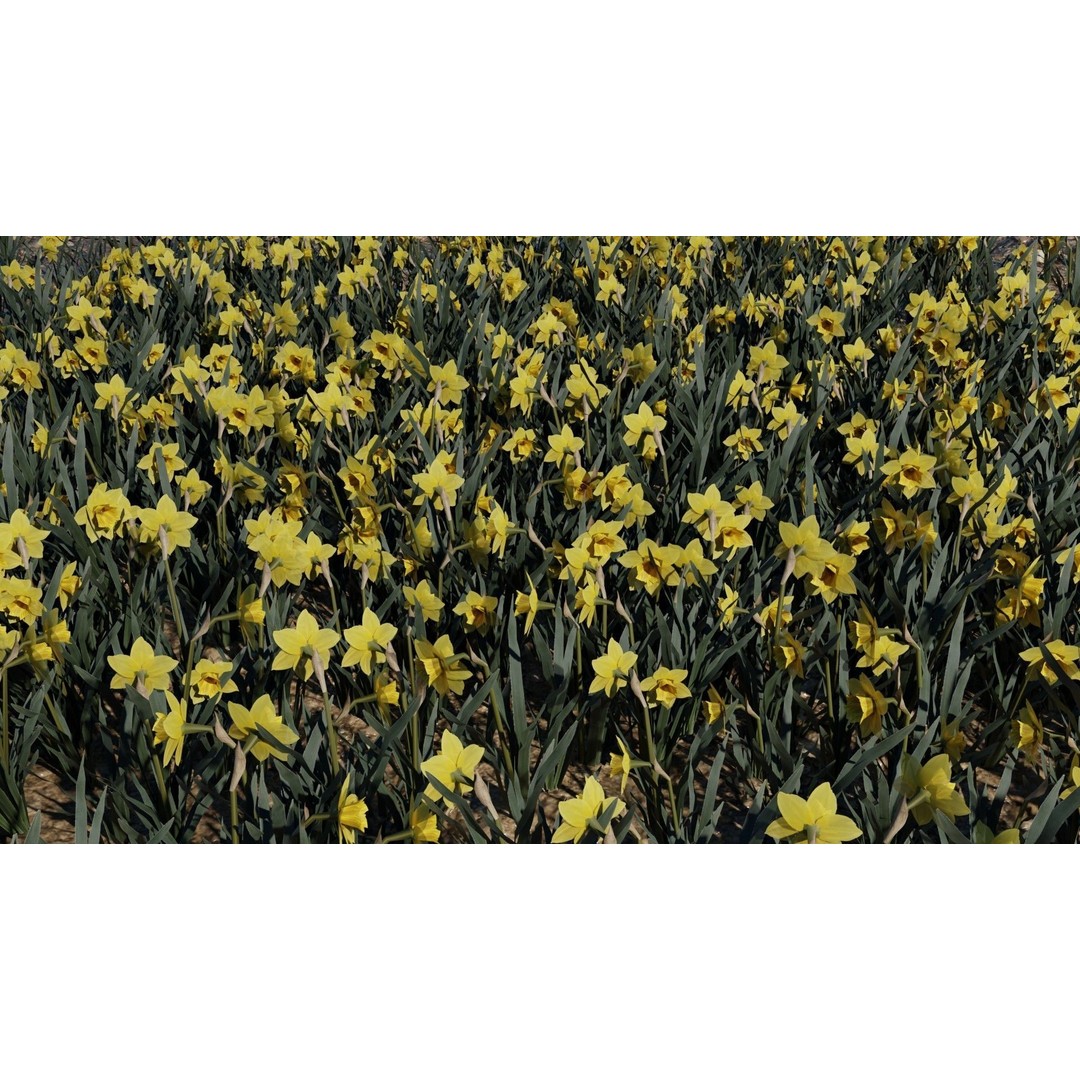 Spring Garden Flowers 3D Model – Low Poly Collection for Unity - View 14