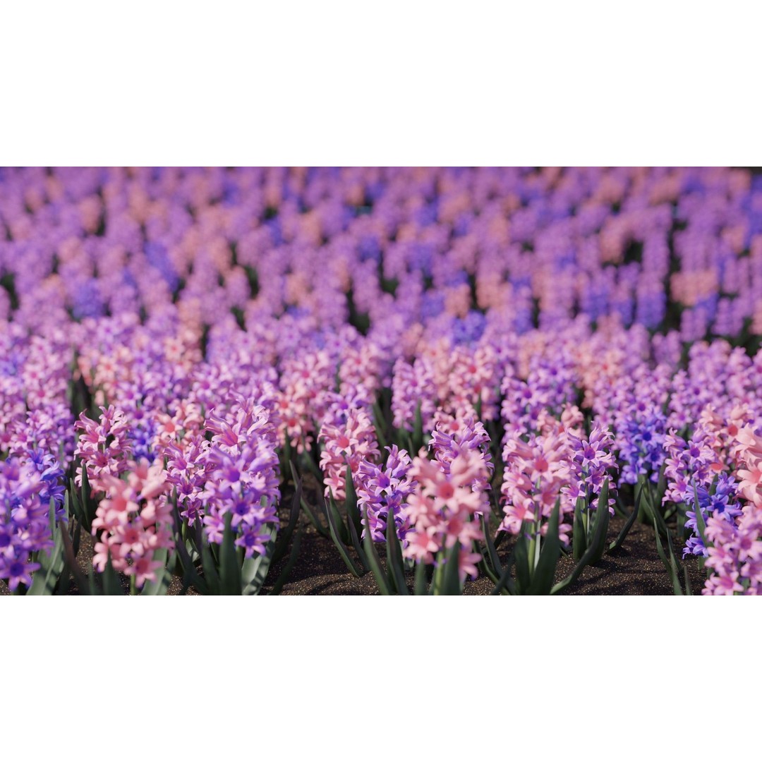 Spring Garden Flowers 3D Model – Low Poly Collection for Unity - View 15