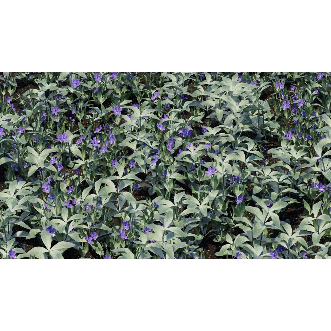 Spring Garden Flowers 3D Model – Low Poly Collection for Unity - View 16