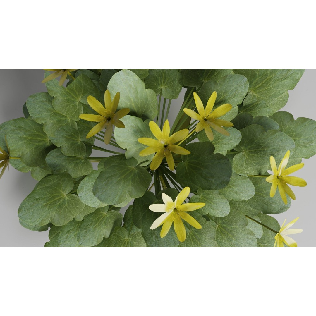 Spring Garden Flowers 3D Model – Low Poly Collection for Unity - View 17