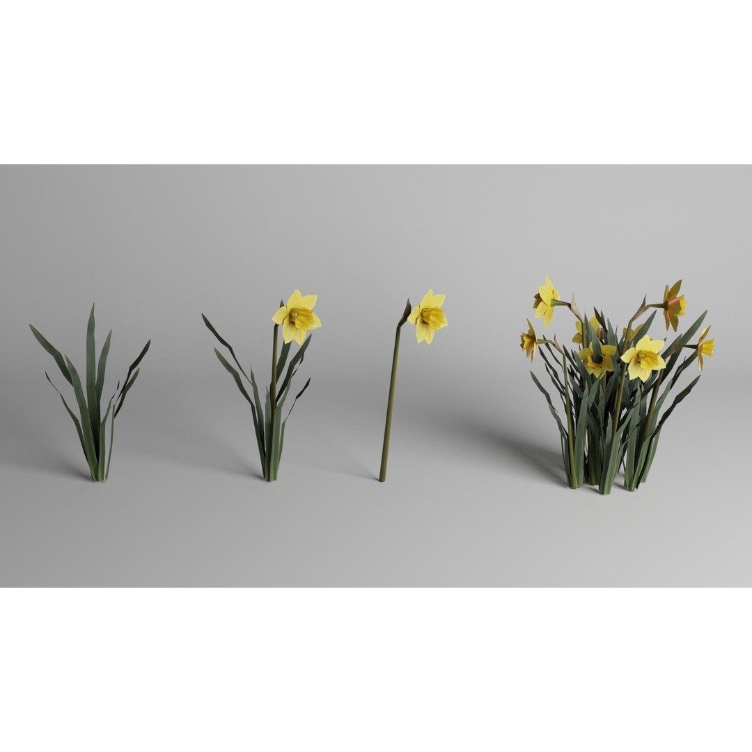 Spring Garden Flowers 3D Model – Low Poly Collection for Unity - View 9