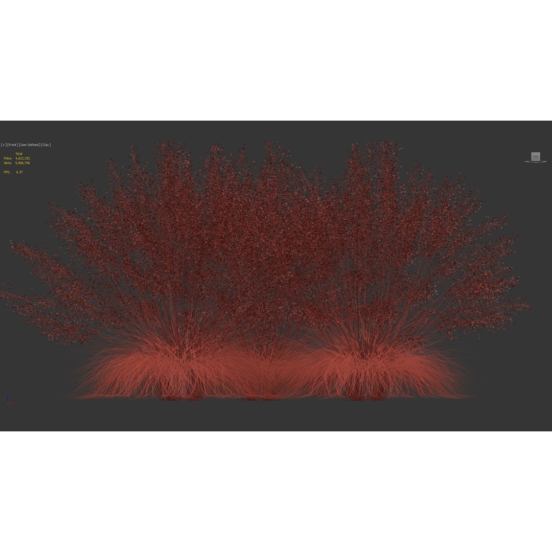 Muhly Grass 3D Model – Realistic Botanical Asset, FBX & OBJ Formats - View 12