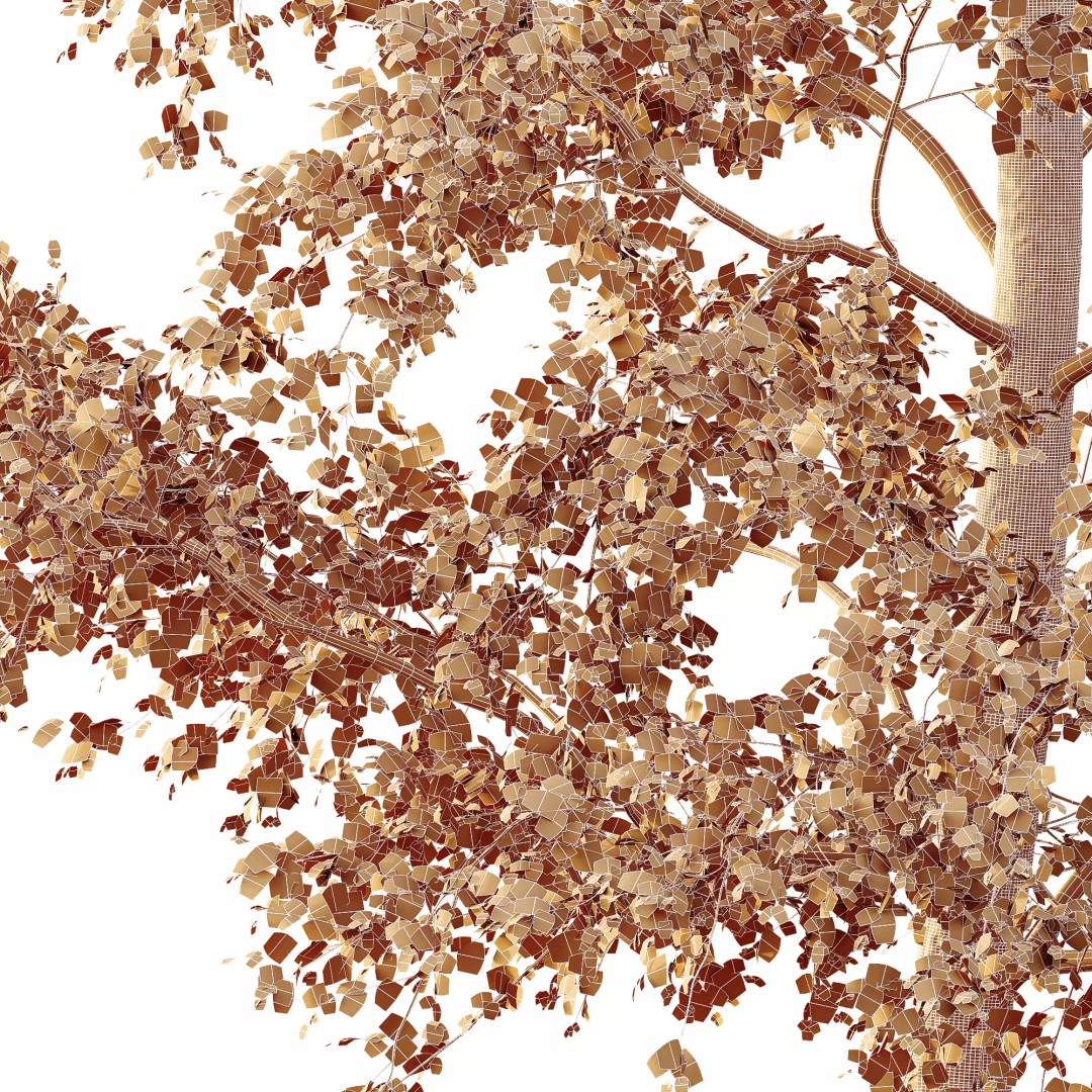 Alnus Glutinosa Tree 3D Model – Realistic Deciduous Tree, FBX, OBJ