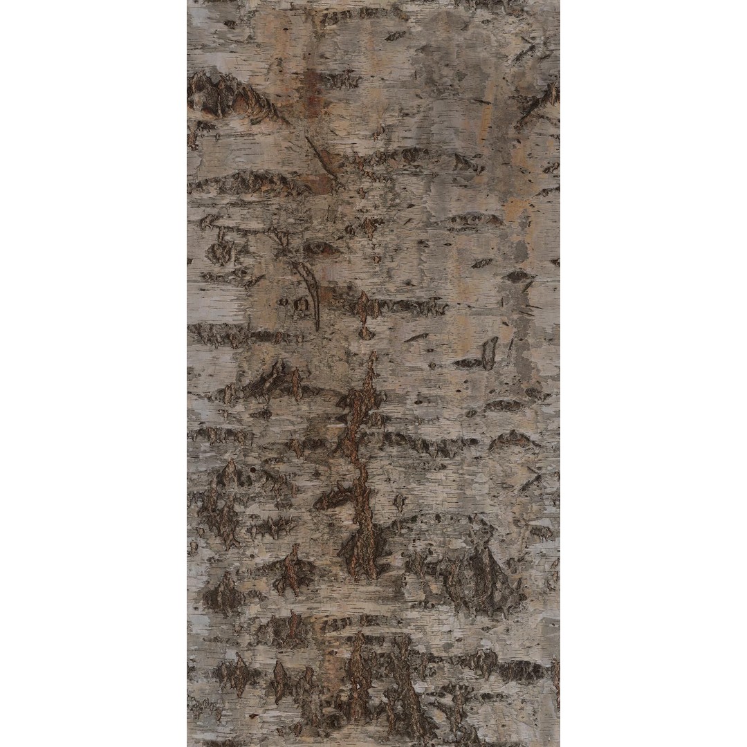 Pampas Grass 3D Model – Decorative Dry Flower for Interiors, FBX