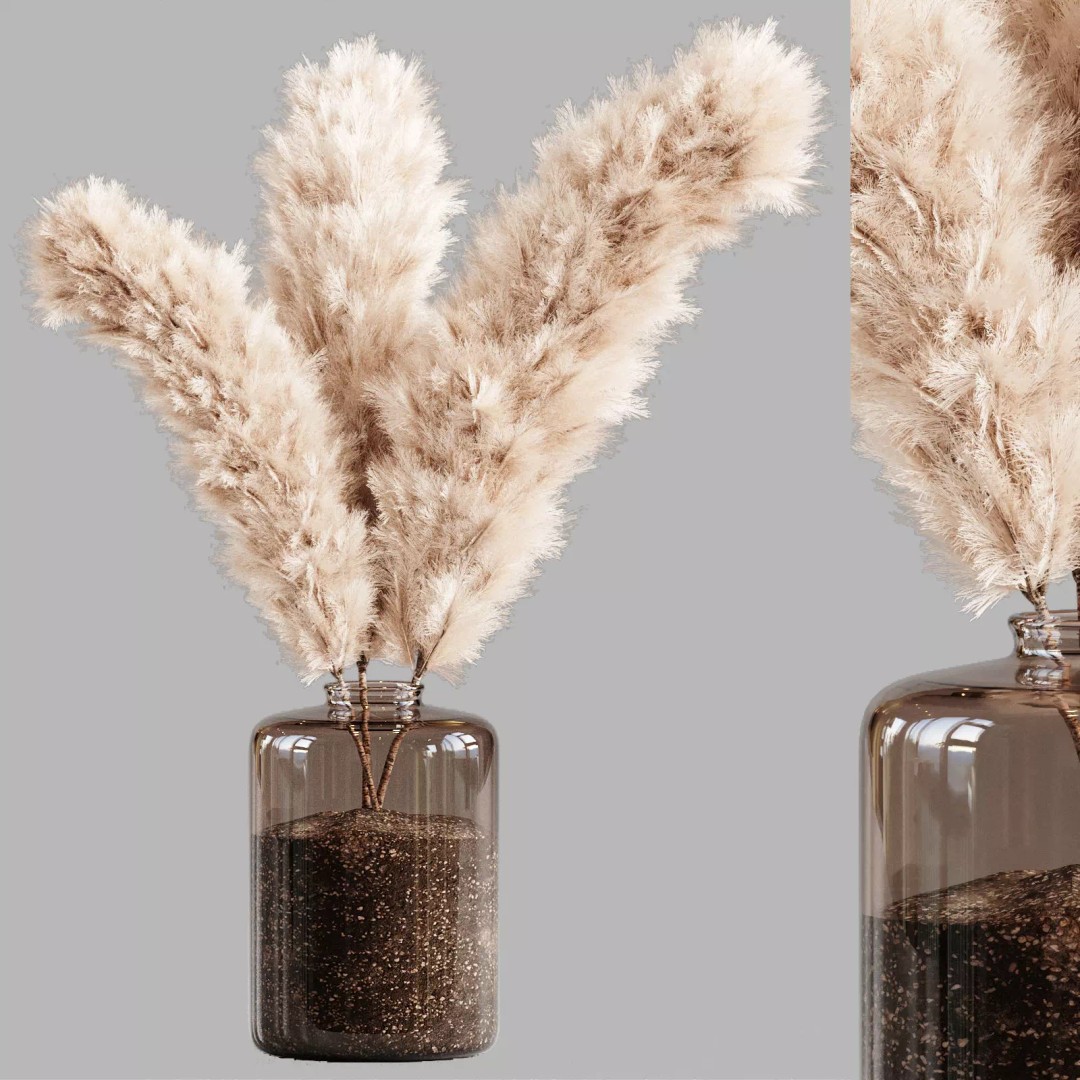 Pampas Grass 3D Model – Decorative Dry Flower for Interiors, FBX - View 2