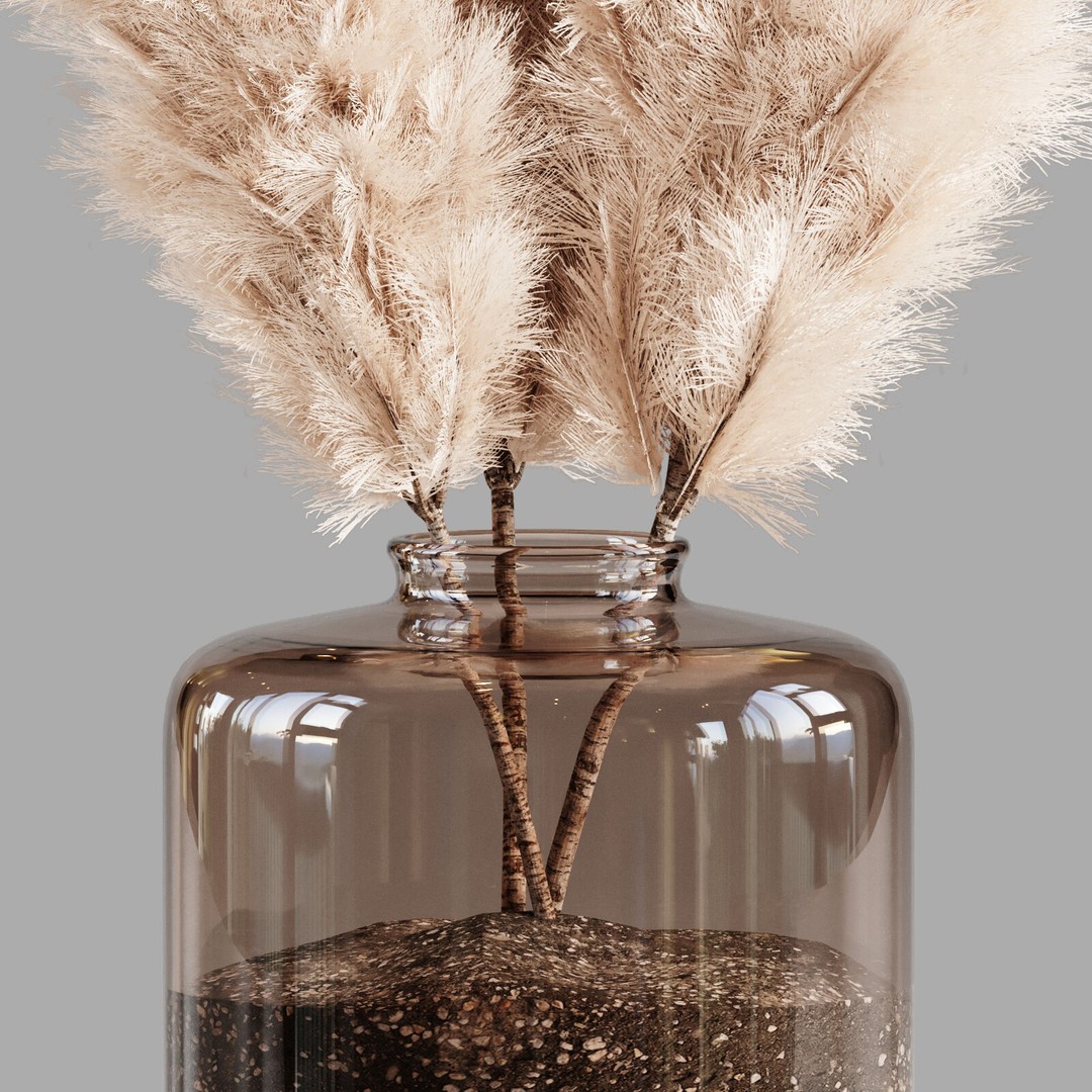 Pampas Grass 3D Model – Decorative Dry Flower for Interiors, FBX - View 3