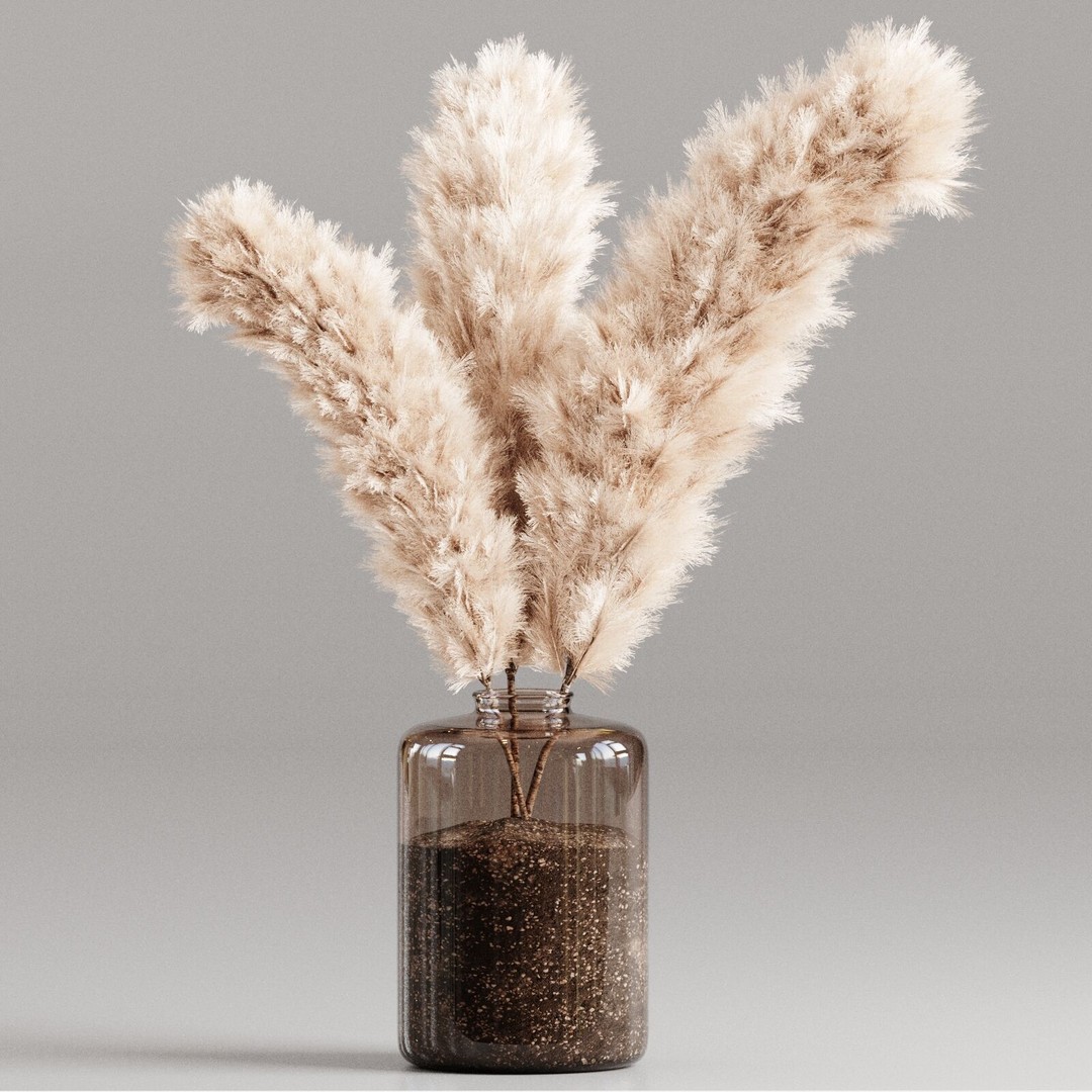 Pampas Grass 3D Model – Decorative Dry Flower for Interiors, FBX - View 4