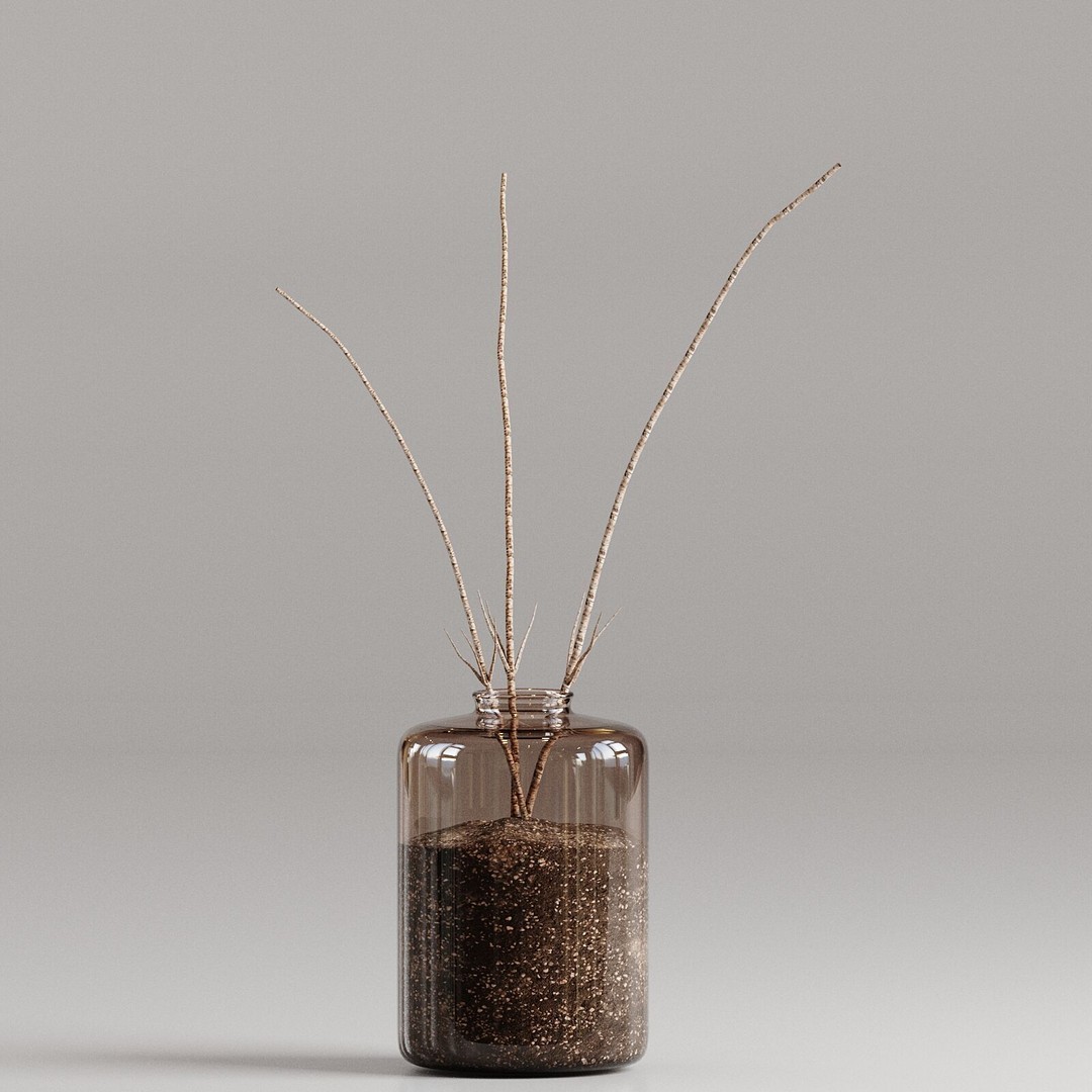 Pampas Grass 3D Model – Decorative Dry Flower for Interiors, FBX - View 6