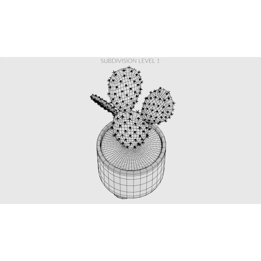 Opuntia Cactus 3D Model – Low Poly Plant in Modern Pot, Blender - View 12