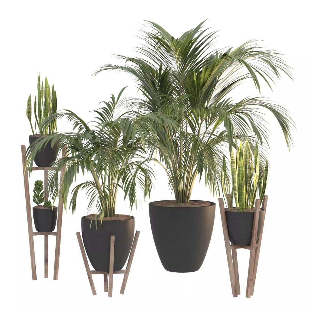 Black Metal Plant Set 3D Model – High Poly PBR Asset for Interiors - View 2