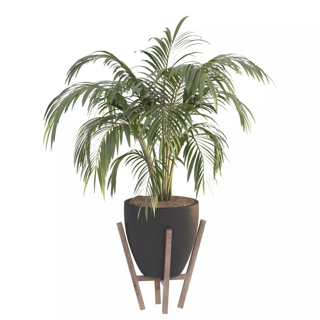 Black Metal Plant Set 3D Model – High Poly PBR Asset for Interiors - View 6