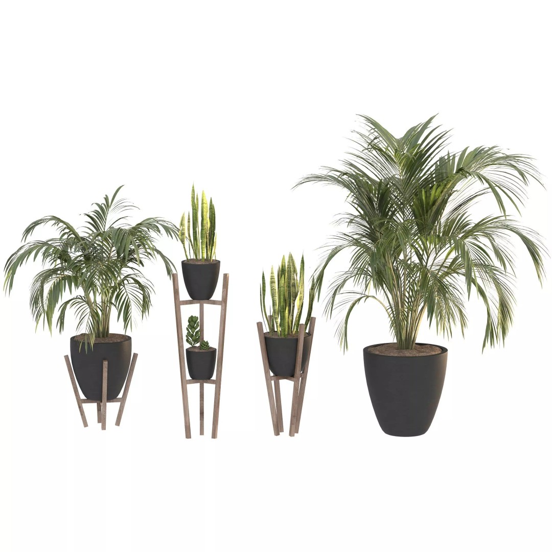 Black Metal Plant Set 3D Model – High Poly PBR Asset for Interiors - View 8