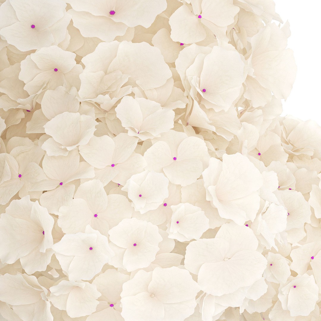 Solemn White Flower Bouquet 3D Model – Modern Hydrangea in Glass Vase - View 11