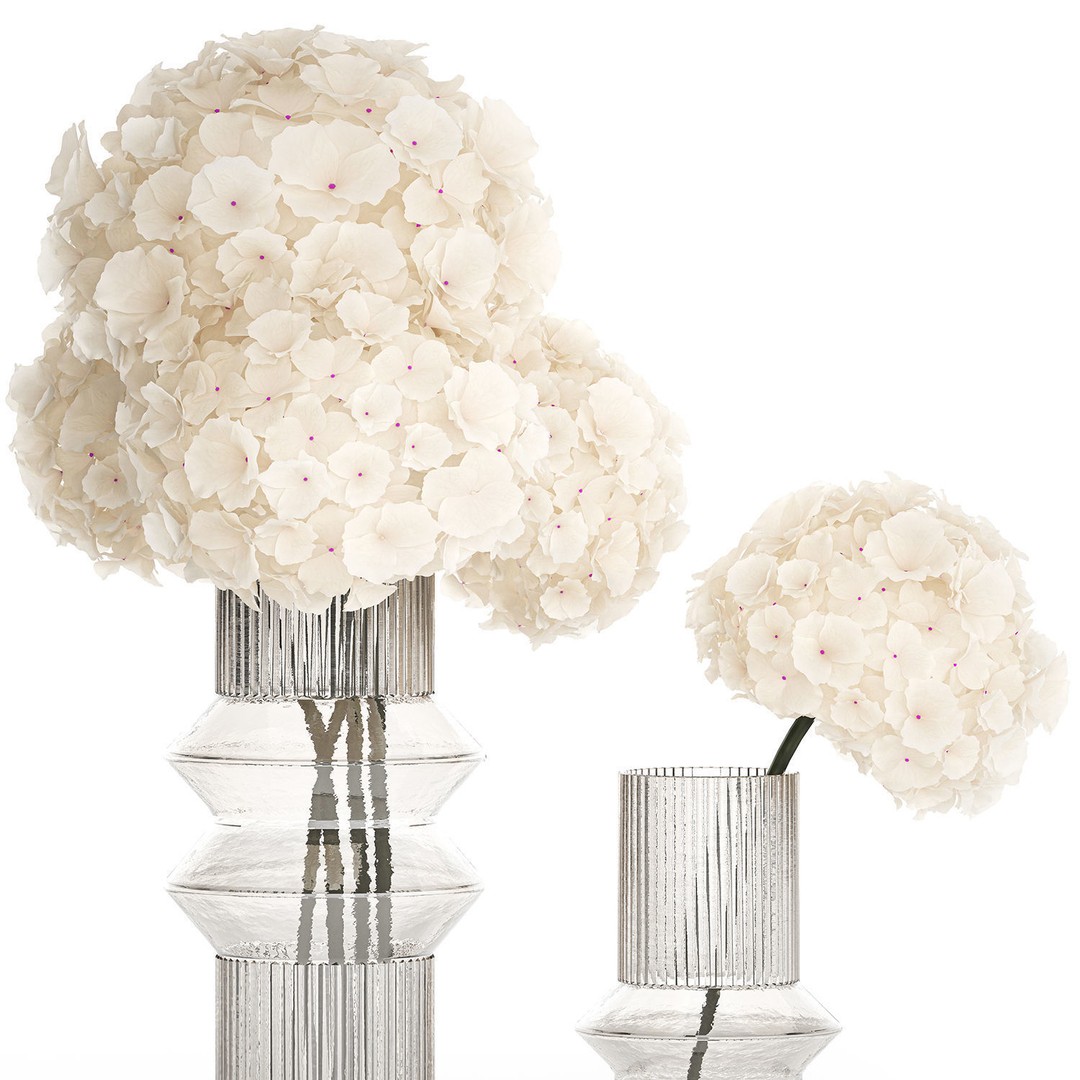 Solemn White Flower Bouquet 3D Model – Modern Hydrangea in Glass Vase - View 13